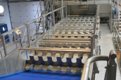 Flaminex-Food-Processing-lines-1