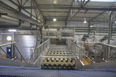 Flaminex-Food-Processing-lines-2