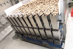Flaminex-Food-Processing-lines-3