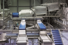 Flaminex-Food-Processing-lines-4