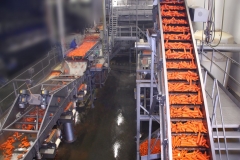 Flaminex-Food-Processing-lines-5