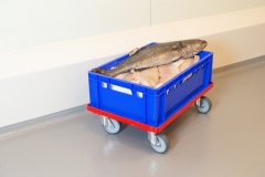 PolySto-stootbanden-2-1