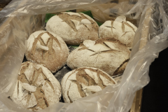 Spiromatic-brood-16x9-1